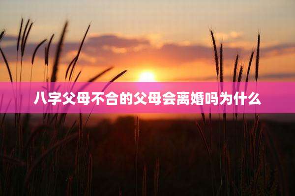 八字父母不合的父母会离婚吗为什么