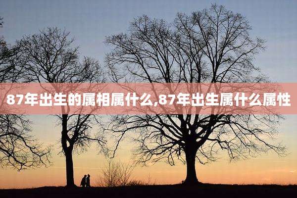 87年出生的属相属什么,87年出生属什么属性