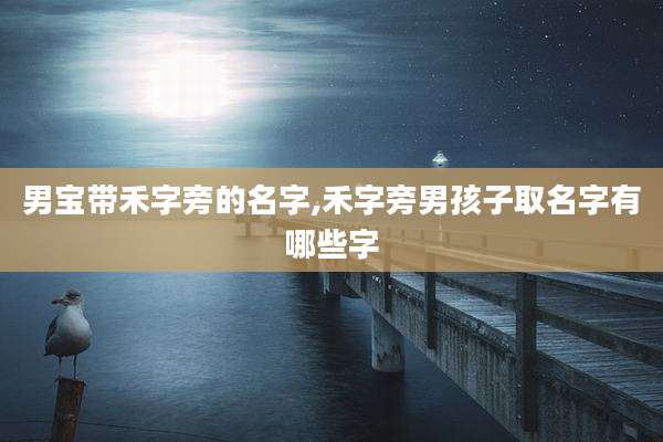 男宝带禾字旁的名字,禾字旁男孩子取名字有哪些字