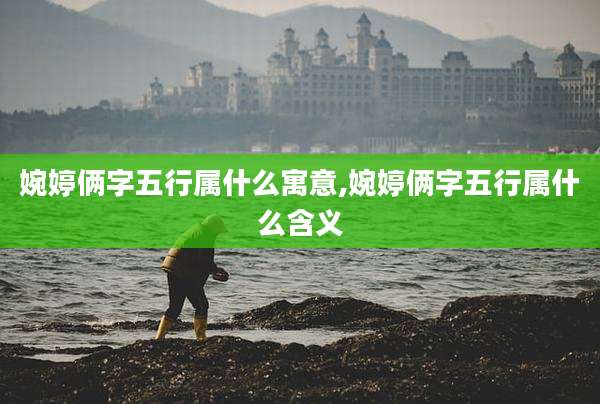 婉婷俩字五行属什么寓意,婉婷俩字五行属什么含义