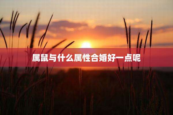 属鼠与什么属性合婚好一点呢