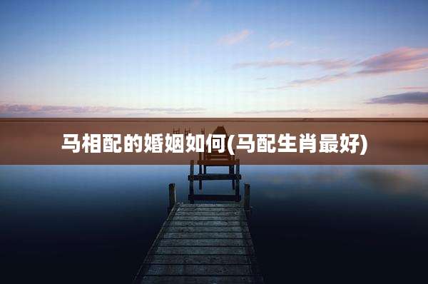 马相配的婚姻如何(马配生肖最好)