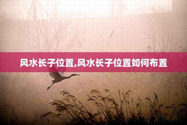 风水长子位置,风水长子位置如何布置
