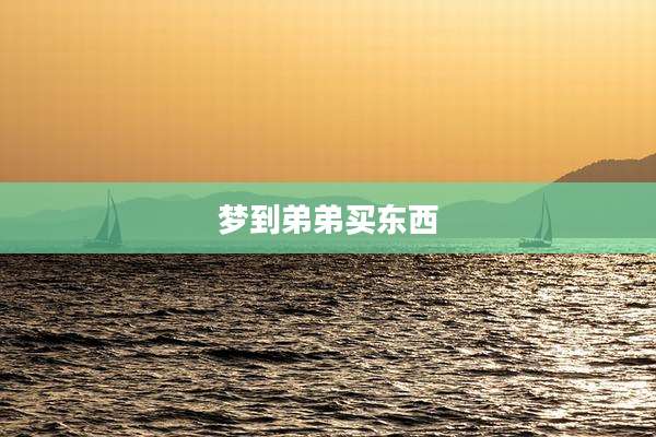梦到弟弟买东西