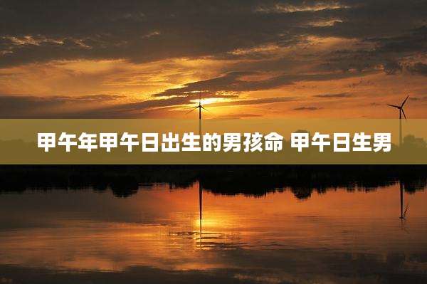 甲午年甲午日出生的男孩命 甲午日生男