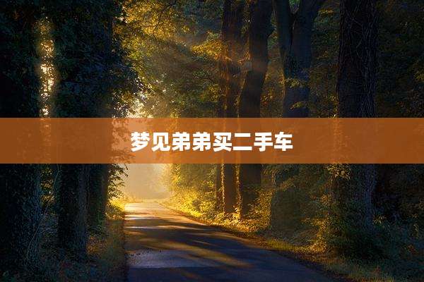 梦见弟弟买二手车