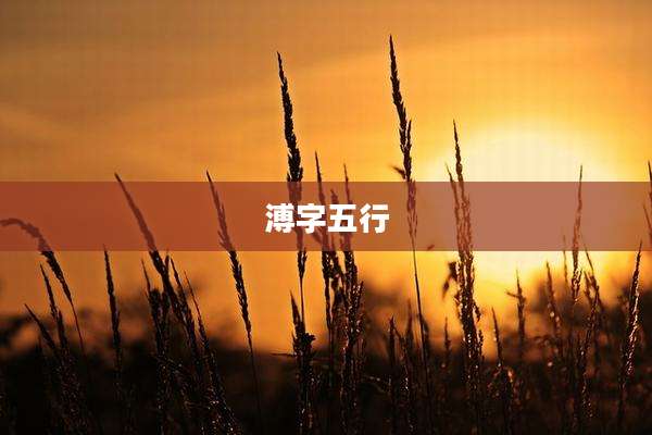 溥字五行