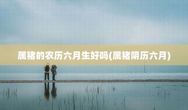 属猪的农历六月生好吗(属猪阴历六月)
