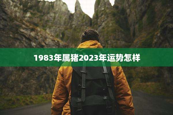 1983年属猪2023年运势怎样