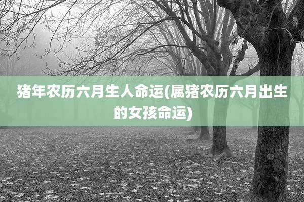 猪年农历六月生人命运(属猪农历六月出生的女孩命运)