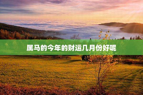 属马的今年的财运几月份好呢