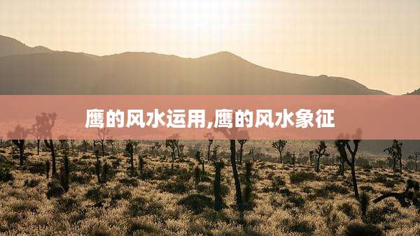 鹰的风水运用,鹰的风水象征