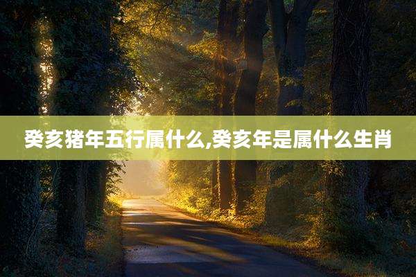 癸亥猪年五行属什么,癸亥年是属什么生肖