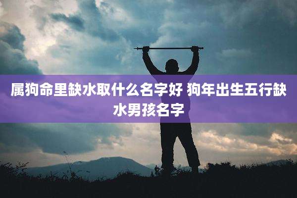 属狗命里缺水取什么名字好 狗年出生五行缺水男孩名字