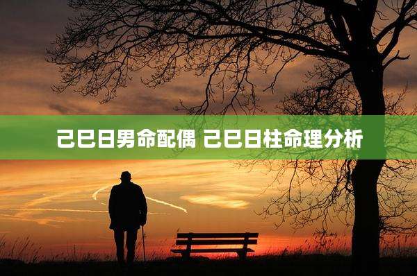 己巳日男命配偶 己巳日柱命理分析