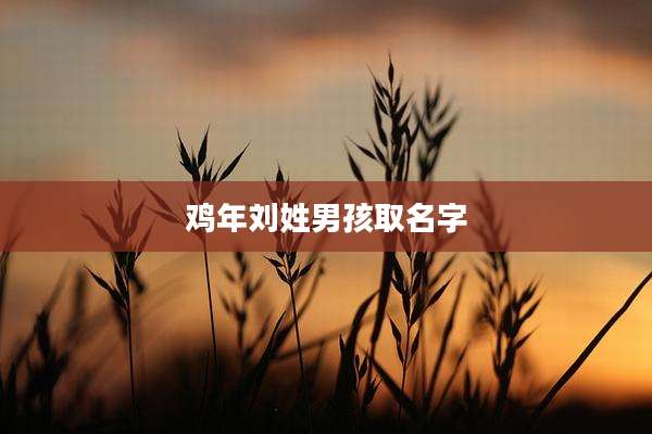 鸡年刘姓男孩取名字