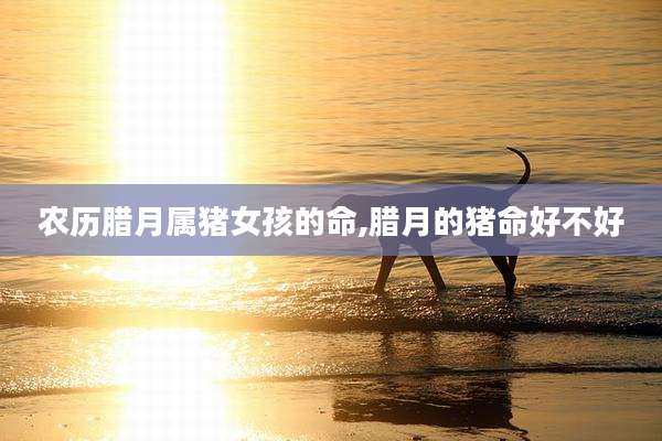 农历腊月属猪女孩的命,腊月的猪命好不好
