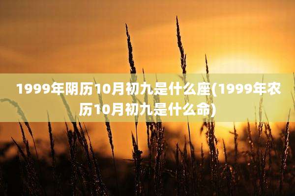 1999年阴历10月初九是什么座(1999年农历10月初九是什么命)