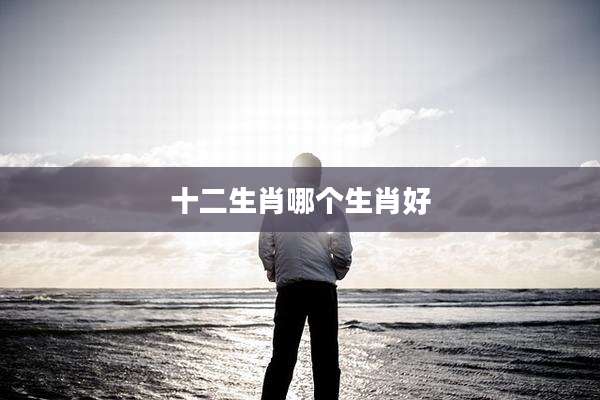 十二生肖哪个生肖好