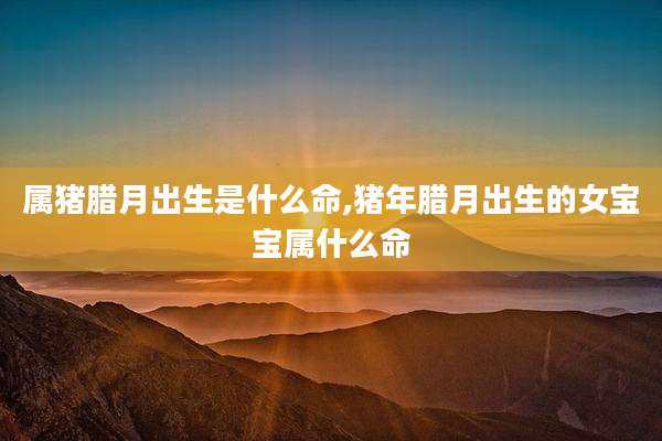 属猪腊月出生是什么命,猪年腊月出生的女宝宝属什么命