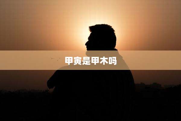 甲寅是甲木吗