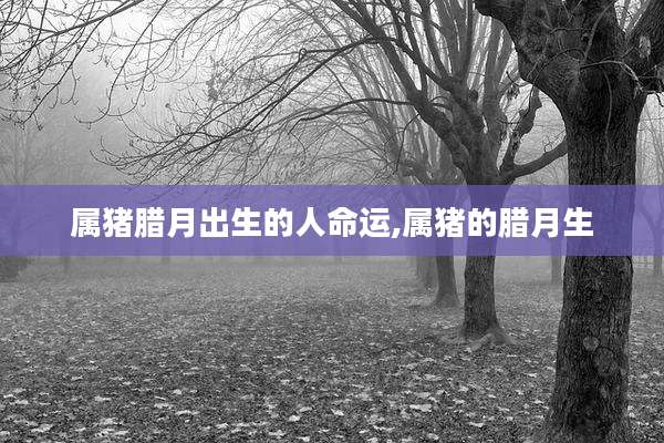 属猪腊月出生的人命运,属猪的腊月生