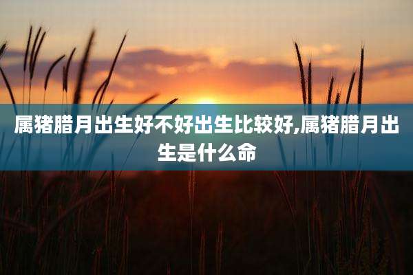 属猪腊月出生好不好出生比较好,属猪腊月出生是什么命