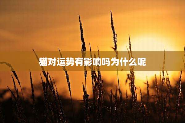猫对运势有影响吗为什么呢