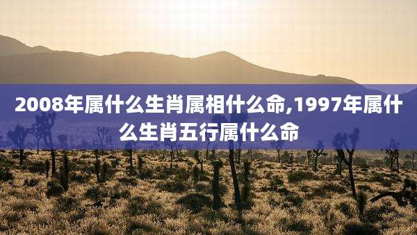 2008年属什么生肖属相什么命,1997年属什么生肖五行属什么命