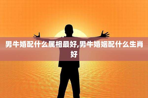 男牛婚配什么属相最好,男牛婚姻配什么生肖好