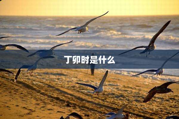 丁卯时是什么