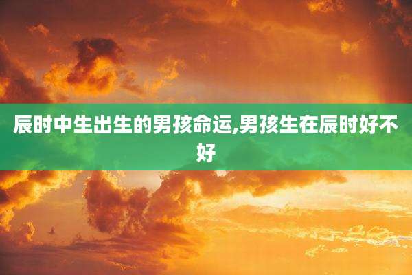 辰时中生出生的男孩命运,男孩生在辰时好不好