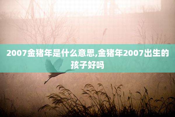2007金猪年是什么意思,金猪年2007出生的孩子好吗