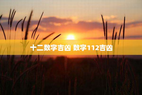 十二数字吉凶 数字112吉凶