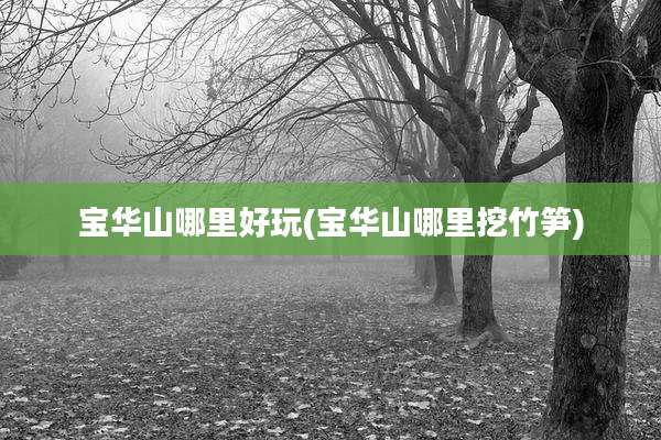 宝华山哪里好玩(宝华山哪里挖竹笋)