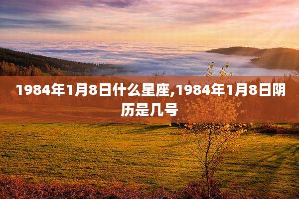 1984年1月8日什么星座,1984年1月8日阴历是几号