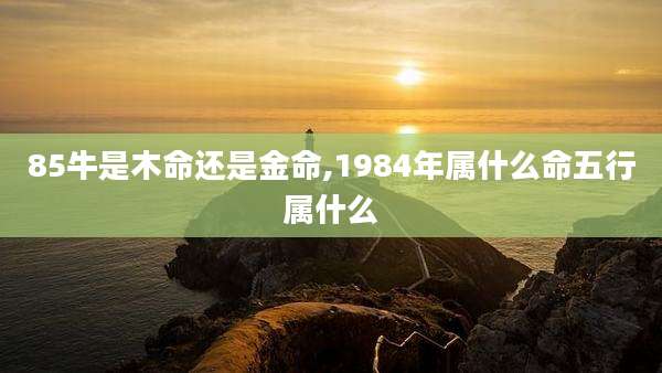 85牛是木命还是金命,1984年属什么命五行属什么