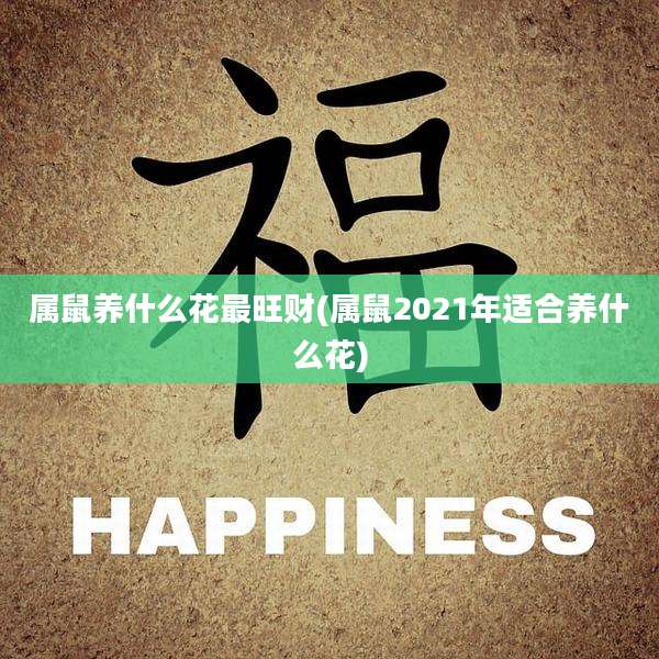 属鼠养什么花最旺财(属鼠2021年适合养什么花)