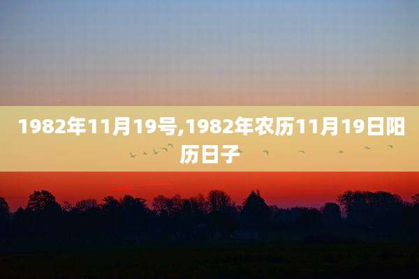 1982年11月19号,1982年农历11月19日阳历日子