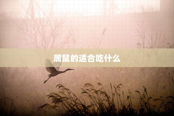 属鼠的适合吃什么
