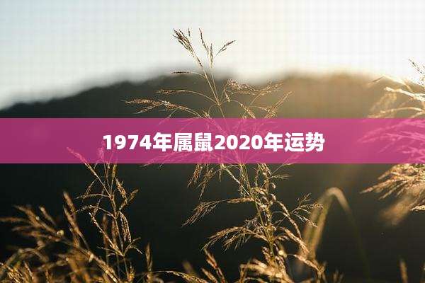 1974年属鼠2020年运势