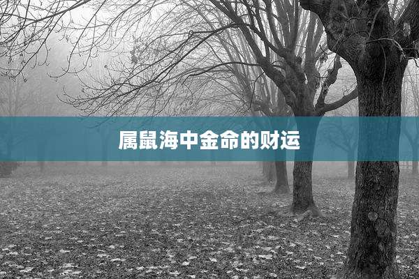 属鼠海中金命的财运