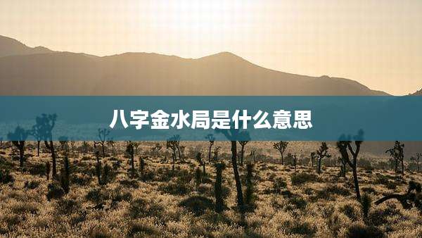 八字金水局是什么意思