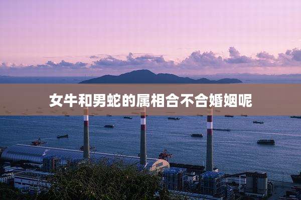 女牛和男蛇的属相合不合婚姻呢