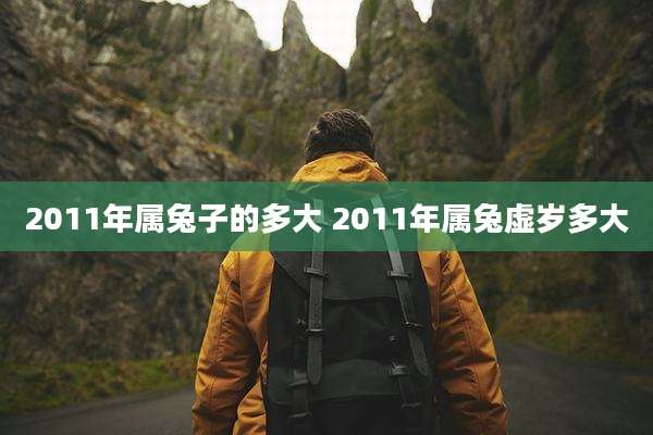 2011年属兔子的多大 2011年属兔虚岁多大