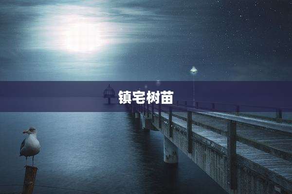 镇宅树苗