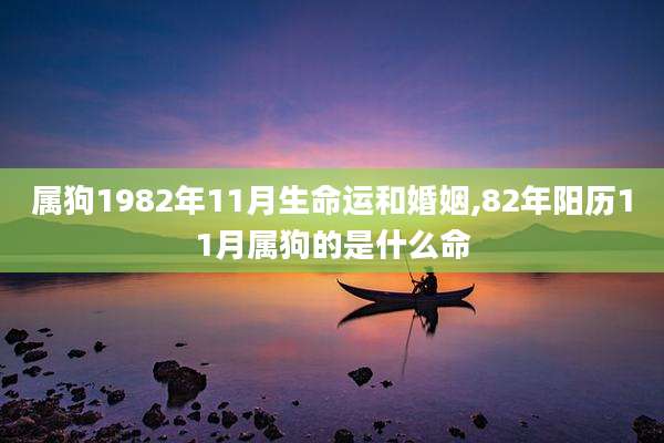 属狗1982年11月生命运和婚姻,82年阳历11月属狗的是什么命