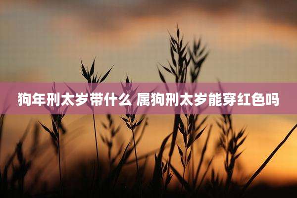 狗年刑太岁带什么 属狗刑太岁能穿红色吗