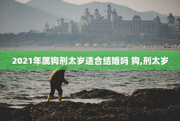 2021年属狗刑太岁适合结婚吗 狗,刑太岁
