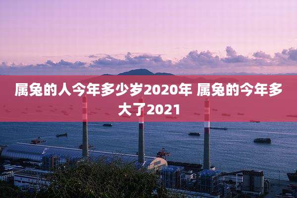 属兔的人今年多少岁2020年 属兔的今年多大了2021